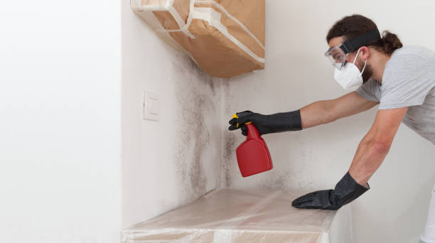 Professional Commercial Mold Remediation technician working in Roxbury, MA