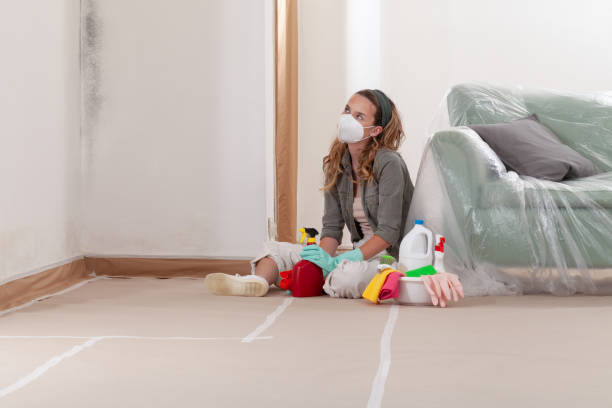 Reliable Commercial Mold Remediation contractor in Roxbury, MA by WQB Mold Removal